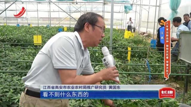 江西——六年育出新品种 做给农民看 带着农民干