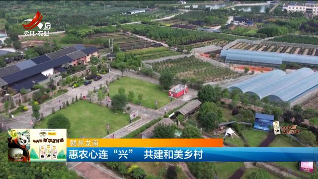 赣州龙南：惠农心连“兴” 共建和美乡村