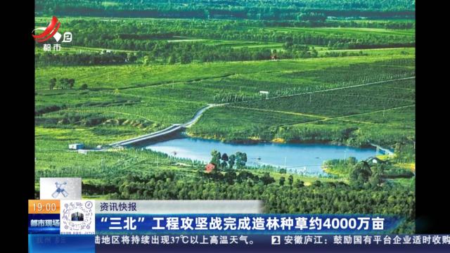 “三北”工程攻坚战完成造林种草约4000万亩