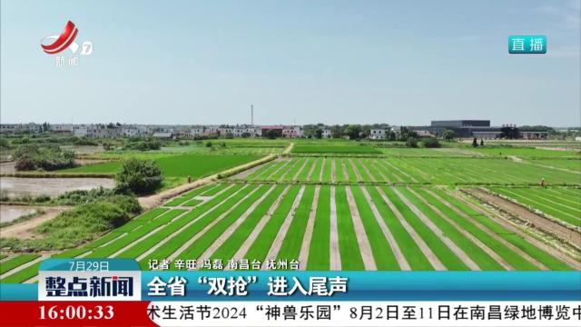 全省“双抢”进入尾声