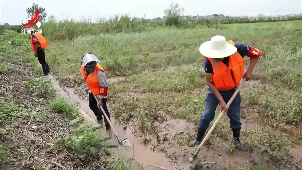 各地各部门积极开展灾后恢复重建 密切关注长江鄱阳湖区水情