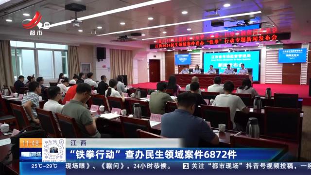 江西：“铁拳行动”查办民生领域案件6872件