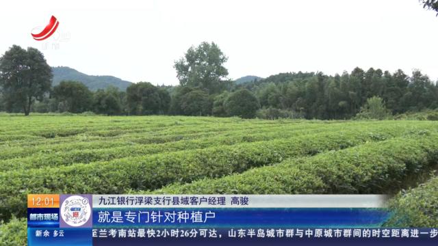 【高温下的守护】赣州：钻入城市暗井 施工员在奋战