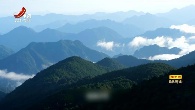 这个暑假去武夷山 感受自然教育魅力