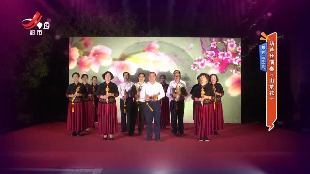 都市天天乐——葫芦丝演奏《山茶花》
