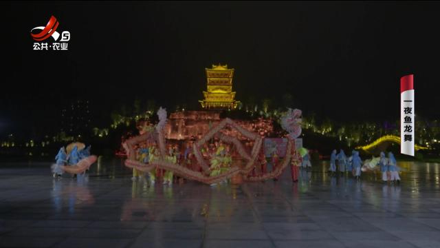 乡村栏目剧场20240711 一夜鱼龙舞