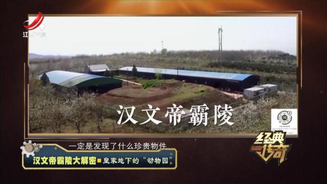 经典传奇20240711 汉文帝霸陵大解密·皇家地下的“动物园”