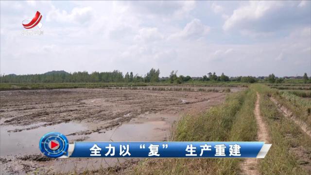 社会传真20240710 全力以“复” 生产重建