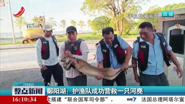 鄱阳湖：护渔队成功营救一只河麂