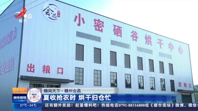 【赣闻天下】赣州会昌：夏收抢农时 烘干归仓忙
