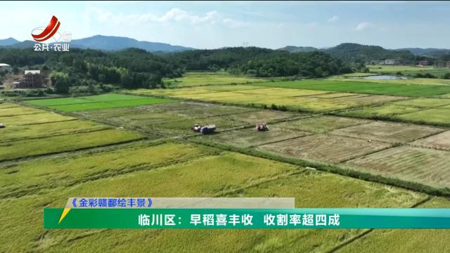 三农头条20240713