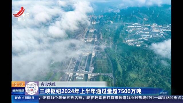 三峡枢纽2024年上半年通过量超7500万吨