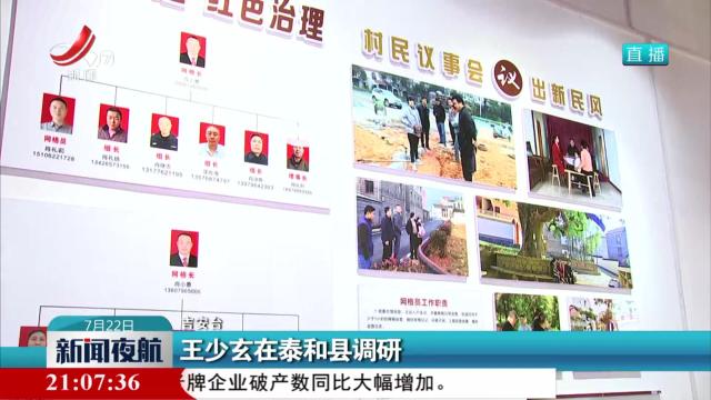 王少玄在泰和县调研