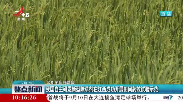我国自主研发新型除草剂在江西成功开展田间药效试验示范
