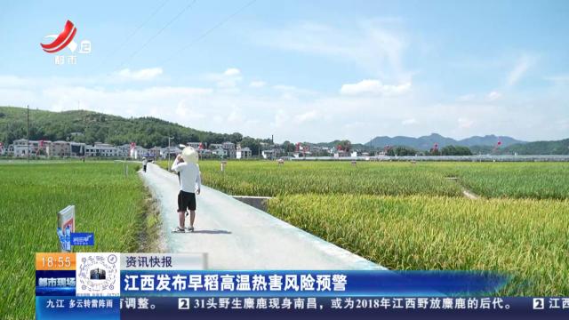 江西发布早稻高温热害风险预警