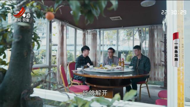 乡村栏目剧场20240710 一夜鱼龙舞
