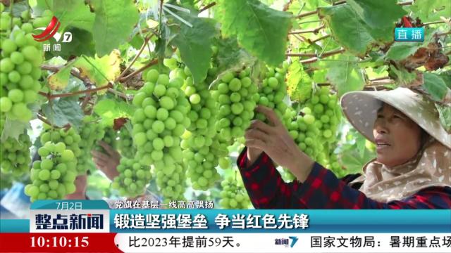 【党旗在基层一线高高飘扬】锻造坚强堡垒 争当红色先锋