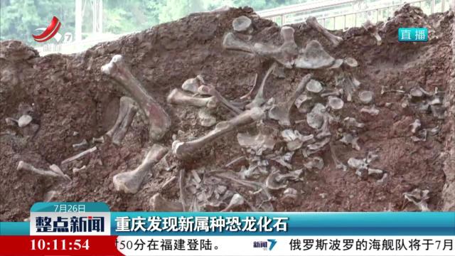 重庆发现新属种恐龙化石