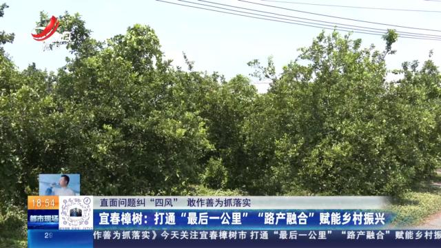 【直面问题纠“四风” 敢作善为抓落实】宜春樟树：打通“最后一公里” “路产融合”赋能乡村振兴