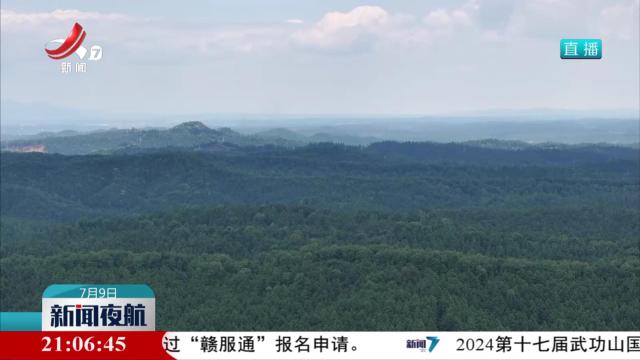 探索森林可持续经营 让林木成材也“生财”