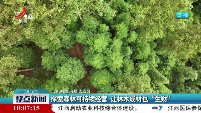 探索森林可持续经营 让林木成材也“生财”