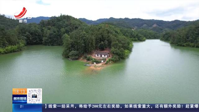 【高温下的守护·护林员夫妻】巡山跋涉五六个小时 热得狗儿都受不了