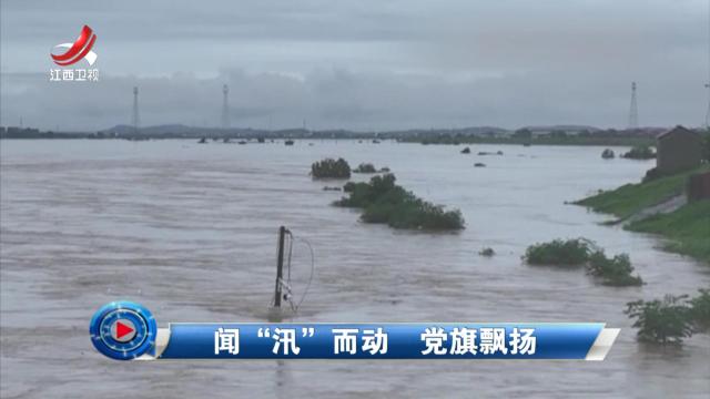 社会传真20240701 闻“汛”而动 党旗飘扬