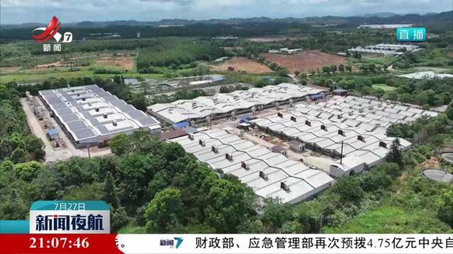 【持续推进经济回升向好】产业引领 农业“基本盘”夯实筑牢