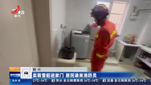 赣州：卖萌雪貂进家门 居民请来消防员