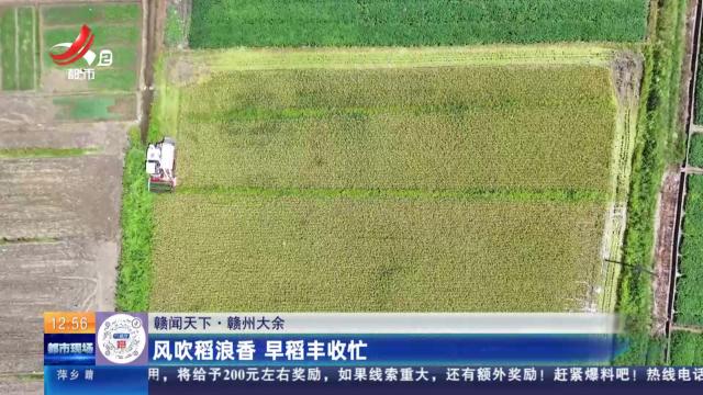 【赣闻天下】赣州大余：风吹稻浪香 早稻丰收忙