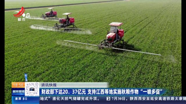 财政部下达20.37亿元 支持江西等地实施秋粮作物“一喷多促”