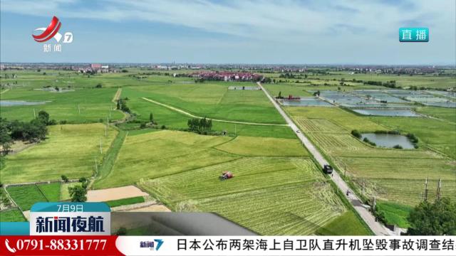江西：推广早播早育技术 为“双抢”赢时间