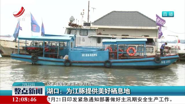 湖口：为江豚提供美好栖息地