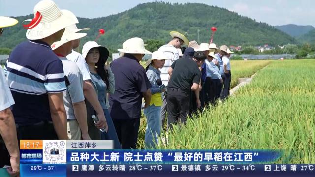 江西萍乡：品种大上新 院士点赞“最好的早稻在江西”