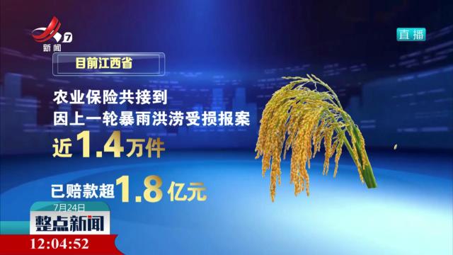 农业保险理赔为农户撑起“保护伞”