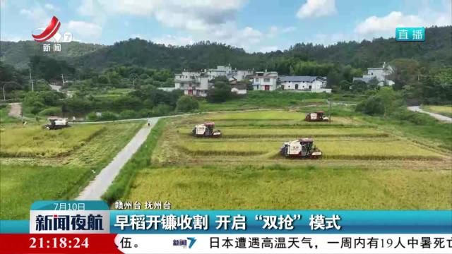 早稻开镰收割 开启“双抢”模式