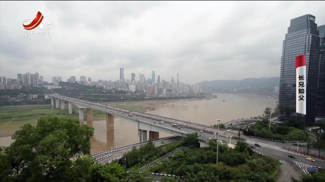 乡村栏目剧场20240708 长兄如父
