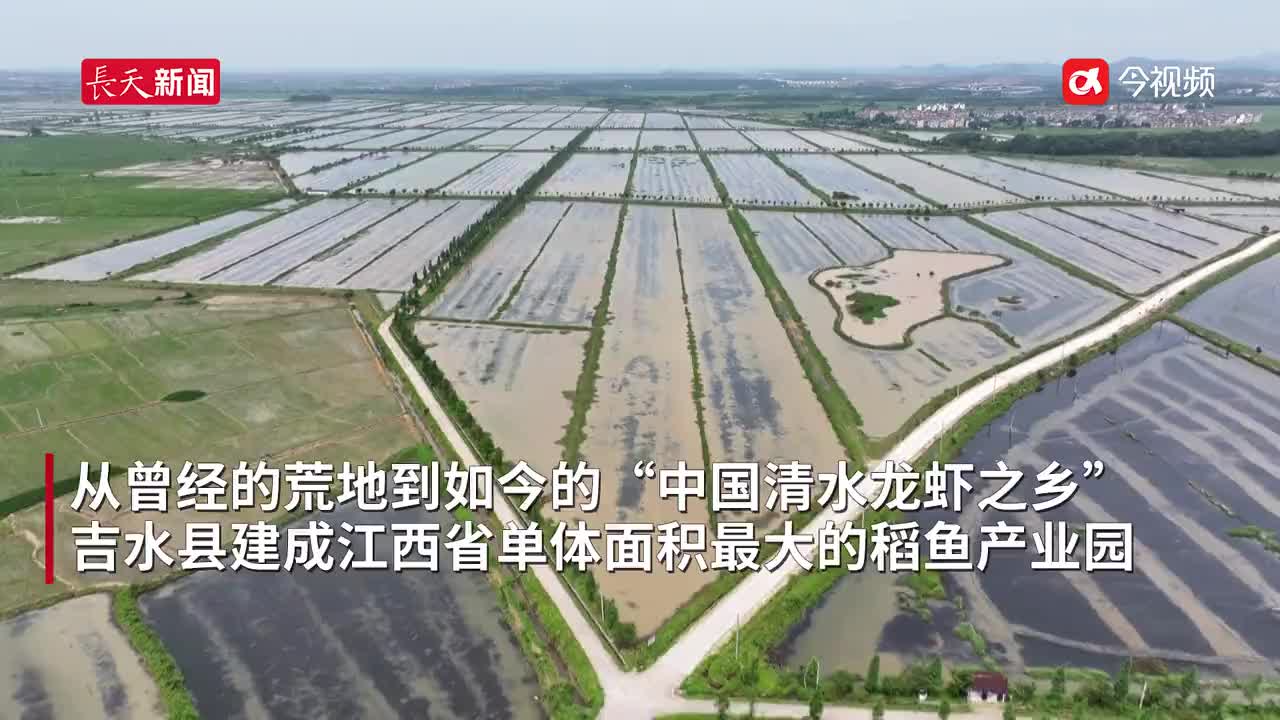水淹田改造成水产基地，同江镇创新虾蟹养殖新模式