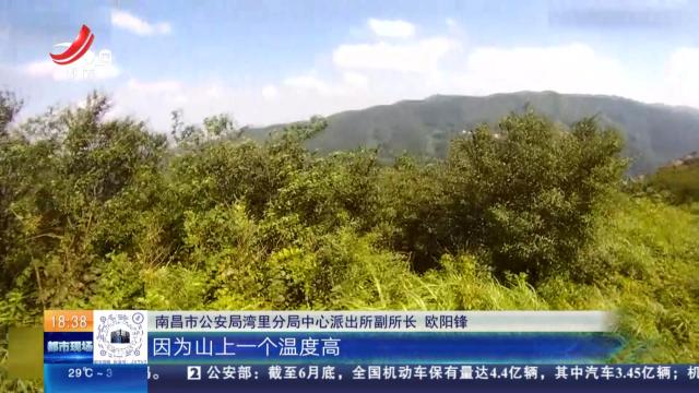 【暑假来了】南昌湾里：六名初中生爬山迷路 民警在茅草荡里找到他们
