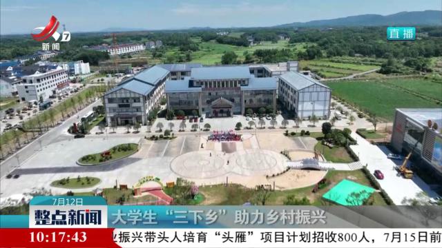 大学生“三下乡”助力乡村振兴
