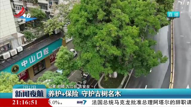 养护+保险 守护古树名木