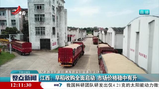 江西：早稻收购全面启动 市场价格稳中有升