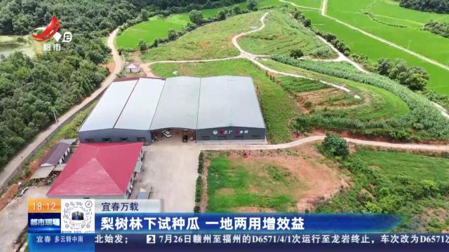 宜春万载：梨树林下试种瓜 一地两用增效益