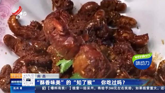 南昌：“酥香味美”的“知了猴” 你吃过吗？
