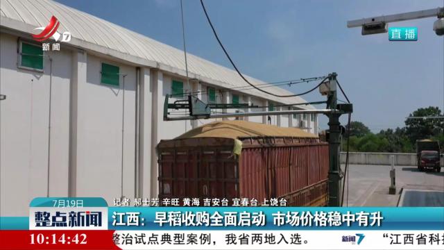 江西：早稻收购全面启动 市场价格稳中有升