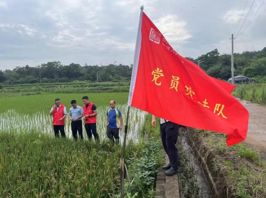 人保财险上饶市分公司全力以赴助农复产获认可
