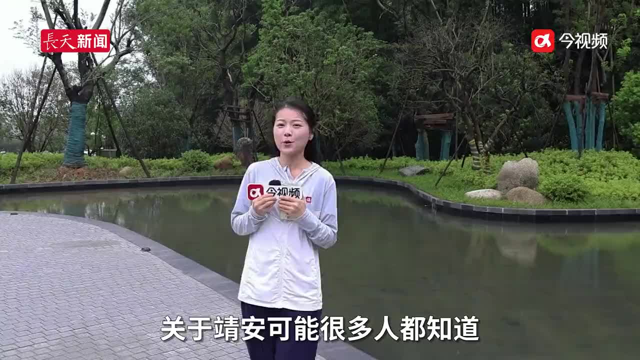 【渔樵耕读在靖安】暑假研学，就来靖安大鲵文创馆