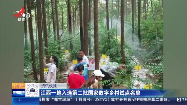 江西一地入选第二批国家数字乡村试点名单