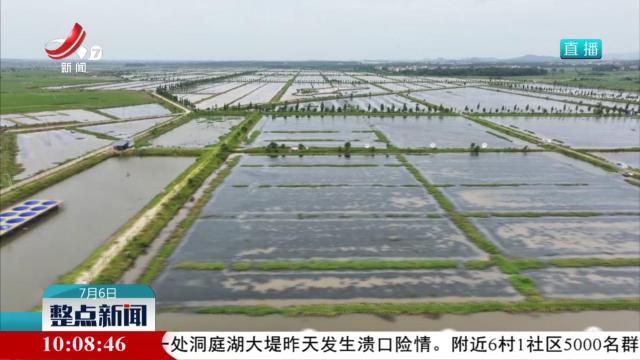 【高质量发展调研行】“赣中粮仓”养虾记