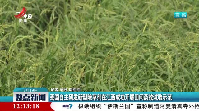 我国自主研发新型除草剂在江西成功开展田间药效试验示范